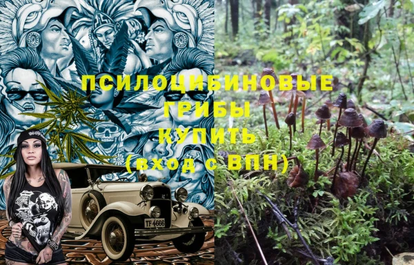 амф Кулебаки