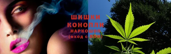амф Кулебаки
