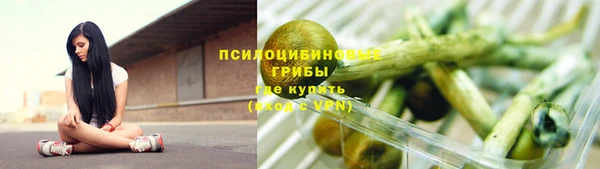 амф Кулебаки