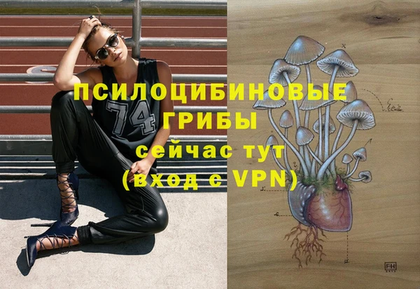 эйфоретик Куйбышев