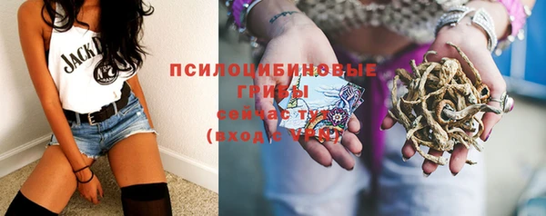 амф Кулебаки