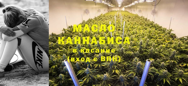 амф Кулебаки