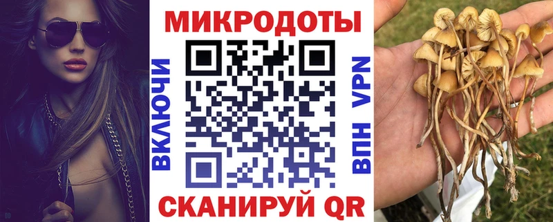 продажа наркотиков  Лебедянь  Галлюциногенные грибы MAGIC MUSHROOMS 